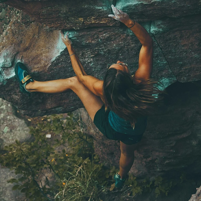 The 5 V’s for Thriving